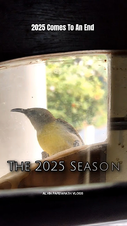 And With That The 2025 Season Comes To An End #shorts #andwiththatthe2025seasoncomestoanend #2025