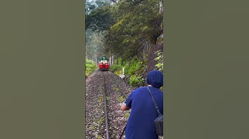NARROW GAUGE LINE #railfans #train #indiarailway #viral #india #traintravel