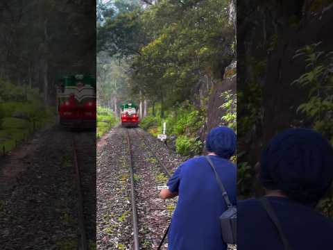 NARROW GAUGE LINE
