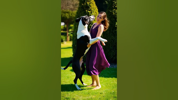 This dog can dance #doglife #adoreble #love #puppy #funny #dogshorts #shorts