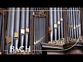 Bach - Concerto in A minor BWV 593 - Smits | Netherlands Bach Society