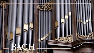 Bach - Concerto in A minor BWV 593 - Smits | Netherlands Bach Society