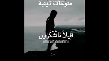 تلاوة تريح القلب