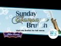 Amada Sunday Brunch at Ocean Casino Resort - YouTube