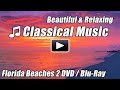 CLASSICAL MUSIC for Studying Beautiful Relaxing Background Instrumental Study Relax Piano Beethoven