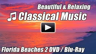 CLASSICAL MUSIC for Studying Beautiful Relaxing Background Instrumental Study Relax Piano Beethoven