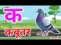 क से कबूतर, अ से आम a se anaar k sekabutar |Hindi varnmala |ABCD क सेकबूतर अ से अनार,for kids💥