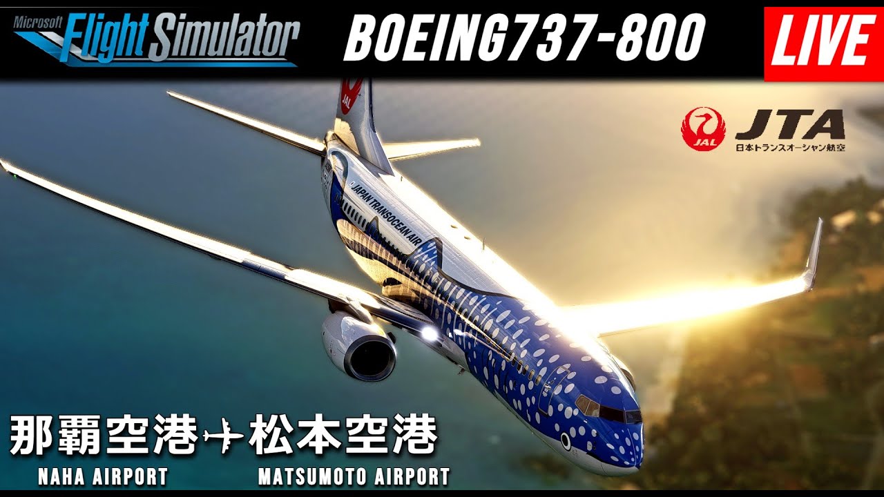 JTA 737 SEATBELT TAG ストリーマー　那覇　エアーフェスタ JTA 737 SEATBELT TAG ストリーマー 那覇 エアーフェスタ