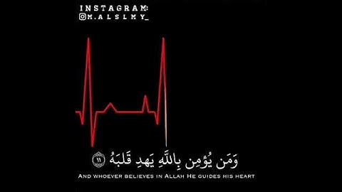 اجمل راحة نفسية تجدها فالقرآن الكريم .استمع ثواني من وقتك