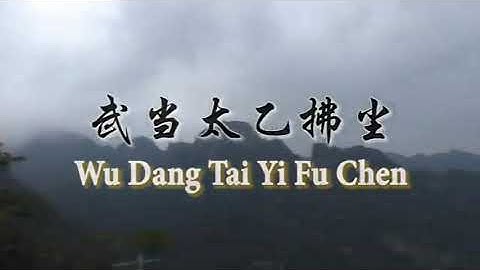 武当太乙拂塵 陳師行道長  Wudang Tai Yi Fu Chen, Wudang horse tail whisk by Master Chen Sixing