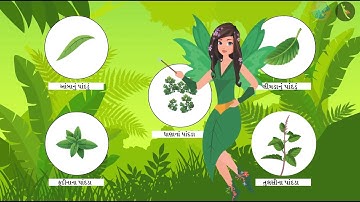 Vanapari | Bhag 1/1 | Prakaran 2 | Dhoran 3 | Paryavaran