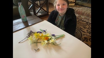 Botanical Bugs Video