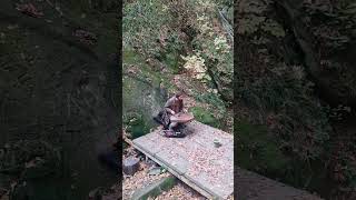 #Shorts Дантово ущелье, Горячий Ключ
