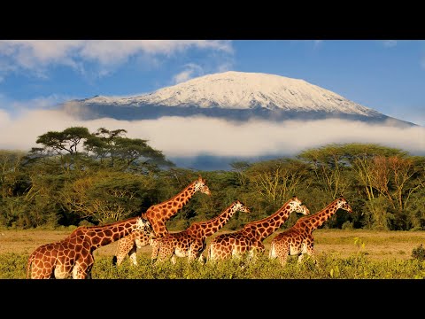 Tanzania: An Up Close Look At Nature's Beauty | Somewhere On Earth