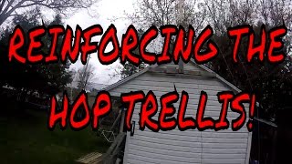 Hop Trellis Stringing!