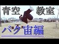 文化祭のパフォーマンスに持ってこい！【バク宙講座】