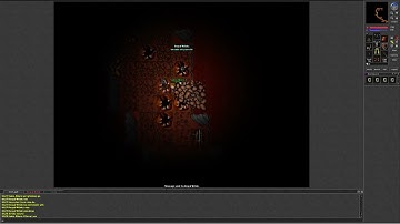 Tibia 7.5 (Isara. Mage Trying to PK a Del