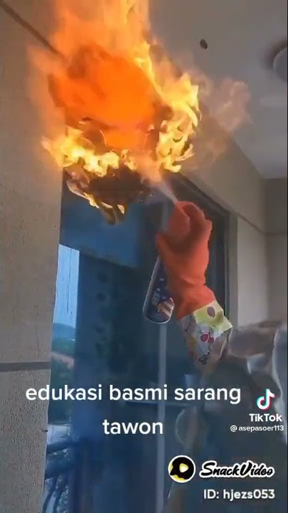 Cara mudah basmi sarang tawon dirumah anda #shorts