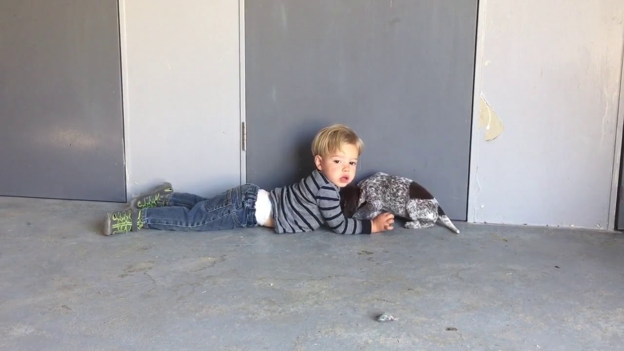 rumble video upload 22mth old toddler Giorgio and 4 wk old puppy Coco bonding