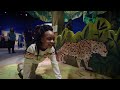 Wild kratts creature power at minnesota childrens museum 30 spot