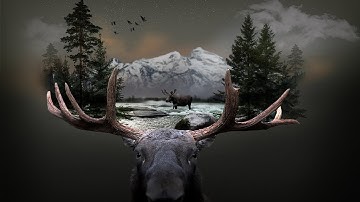 Photoshop Manipulation (Speed Art Tutorial)