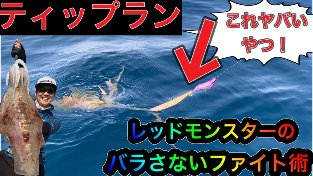 レッドモンスター出現 これがアカイカ系アオリイカのバラさない最強ファイト術 これが分かればデカイカは確実に獲れる レッドモンスター レッドデビル アカイカ系アオリイカ Youtube