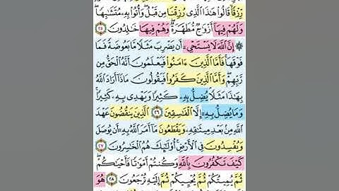 تيسير حفظ سورة البقرة تكرار الوجه الرابع الآيات (25-29) 5 مرات بصوت الشيخ عبد الباسط عبد الصمد