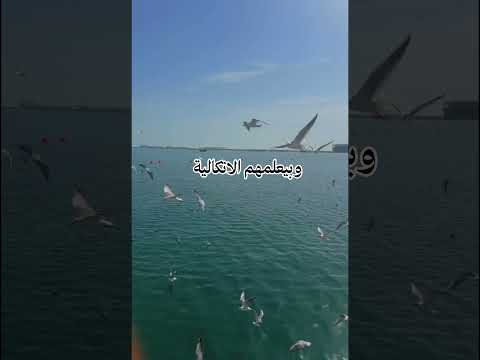 لا تستنزف نفسك التوازن هو الحل