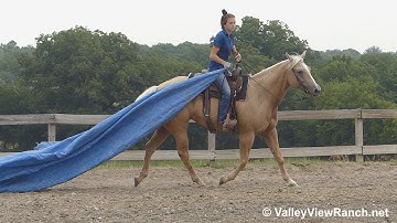 Salutes Heart - playing with the tarp! - ValleyViewRanch.net