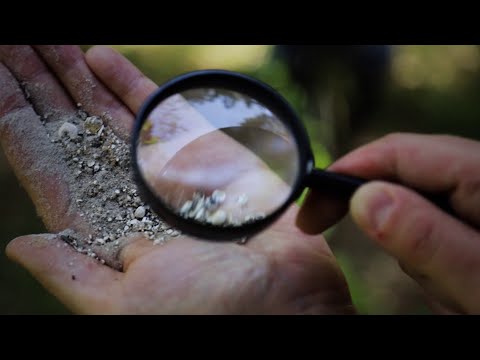 Video: Kā Ziemā Rūpēties Par Orhidejām