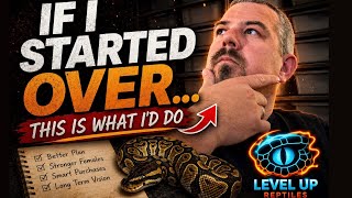 If I started my Ball Python Collection Over this is what I would do