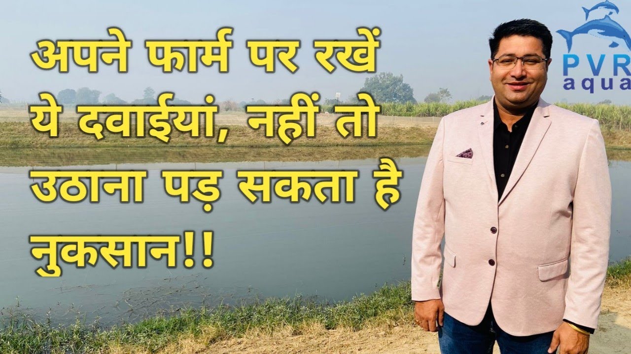 मछली पालन में ये दवाएं बहुत जरूरी हैं? Antibacterial/ Antibiotics Fish Medicine 