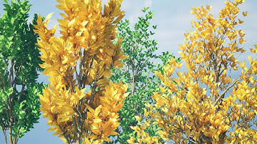 Fall forest Sapling trees 3d animation with unreal and 3d files