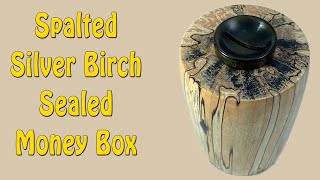 Spalted Silver Birch Sealed Money Box - Episode 280