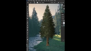 Create Custom Trees In Photoshop 🙂|#shorts #photoshop