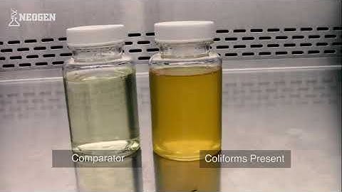 Colitag™ Demonstration Video