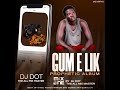 Gum e Lik Prophetic Album mix & master by Dj.Dot the all mix master.