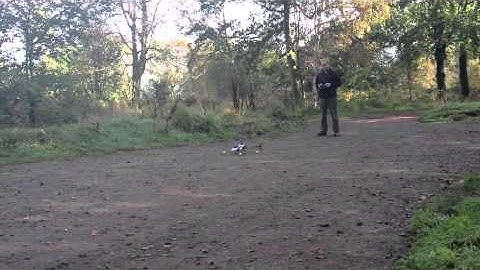 HK450 Heli Learning to fly