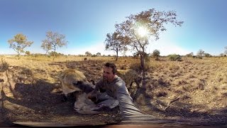 GoPro VR: Hyenas Wrestling With Kevin Richardson screenshot 5
