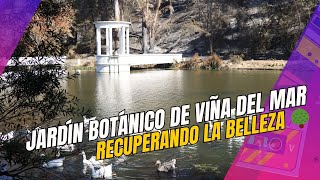 JARDÍN BOTÁNICO de Viña del Mar 🌳 Recuperando la Belleza | Imágenes Desoladoras Tras el Incendio🔥