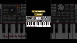 Download Lagu LIWUNG Seragenan #setorggratis #shortvideo #youtubeshorts #videoshort #covermusic MP3