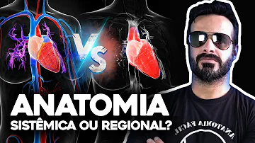 O que é anatomia topográfica ou regional?