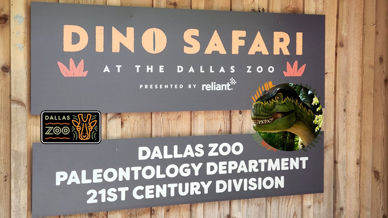 dino safari dallas