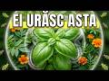 7 Plante Care Opreasc Instant Dăunătorii Din Grădină (Fără Chimicale)