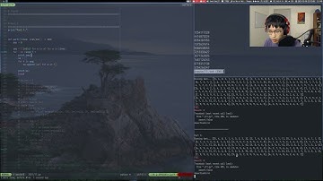 Advent of Code 2021 - Day 11 | Python (4855*, 4535**)