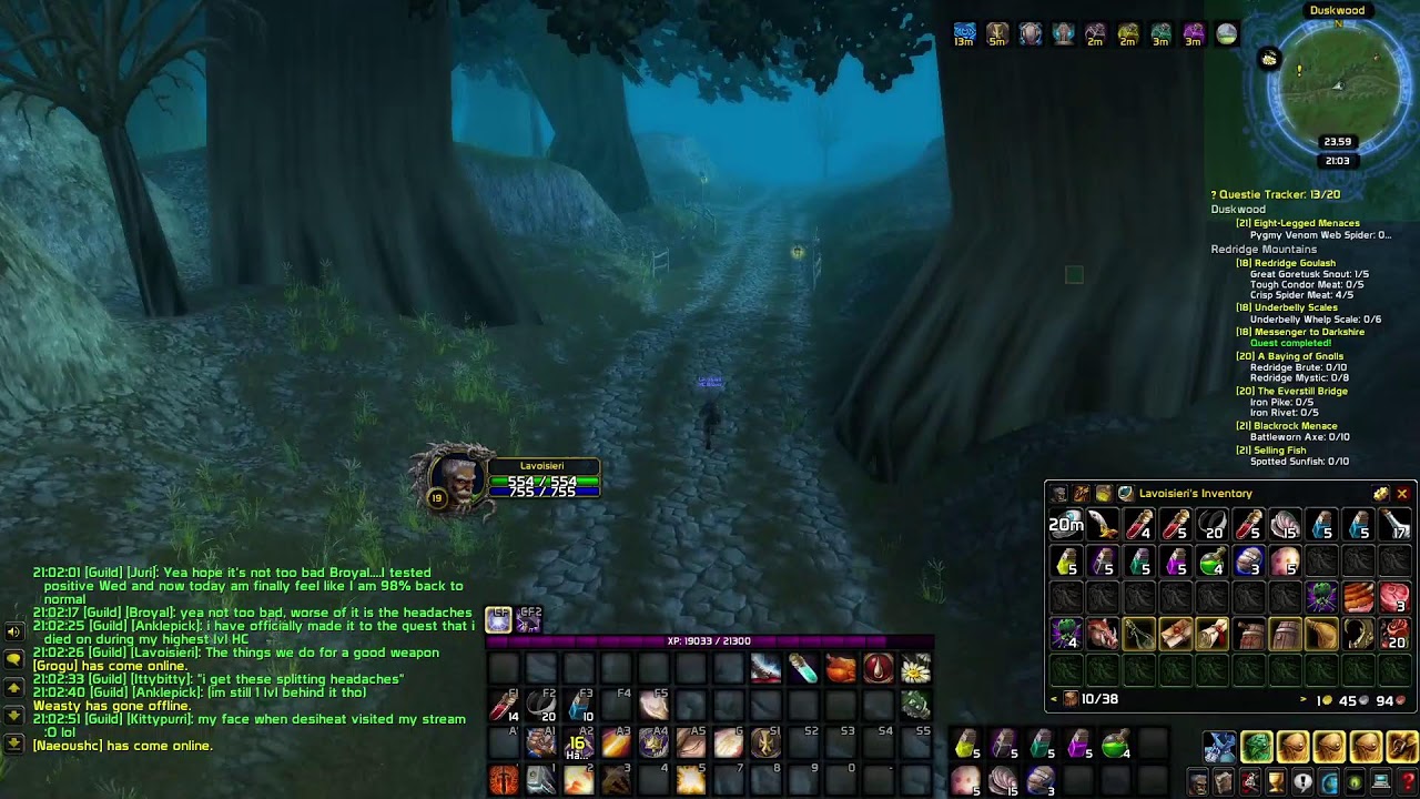 WoW Classic Hardcore Paladin Part 8.1