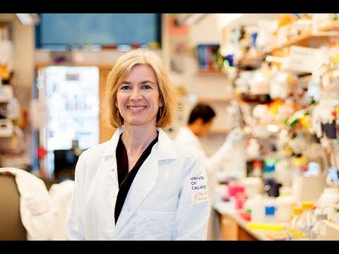 Re-writing the Code of Life: CRISPR Systems and Applications of Gene Editing - Re-writing the Code of Life: CRISPR Systems and Applications of Gene Editing