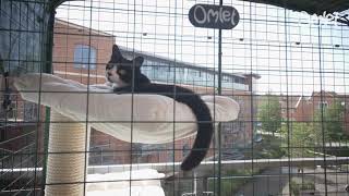 Omlet Cat Balcony Enclosures