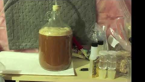 Nano beer brew   1 gallon fermentation 3 hours in 30 seconds!