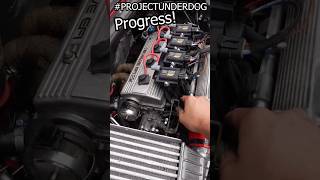 Thumbnail for #Projectunderdog has been getting ALL my time recently. Big video coming next Sunday! #d4a
